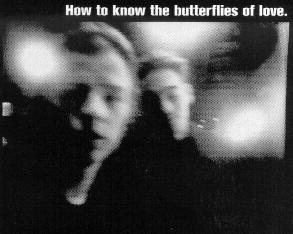 how to know the butterflies of love cd on secret7 records lp on fortuna pop! uk